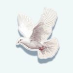 White Dove Sticker – Pure White Bird Decal