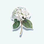 Hydrangea Sticker – White Bloom Botanical Decal