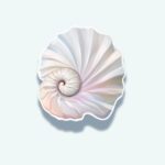 Nautilus Shell Sticker – Purple Spiral Ocean Decal