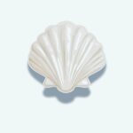 Scallop Shell Sticker – White Seashell Decal
