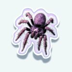 Cosmic Tarantula Spider Sticker